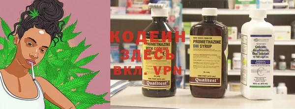 кокс Алексин