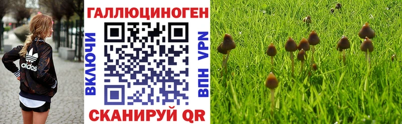 Галлюциногенные грибы мицелий  дарнет шоп  Энгельс 